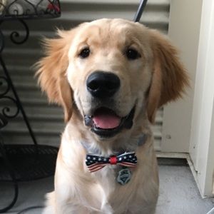 Meet your Posher, Alan